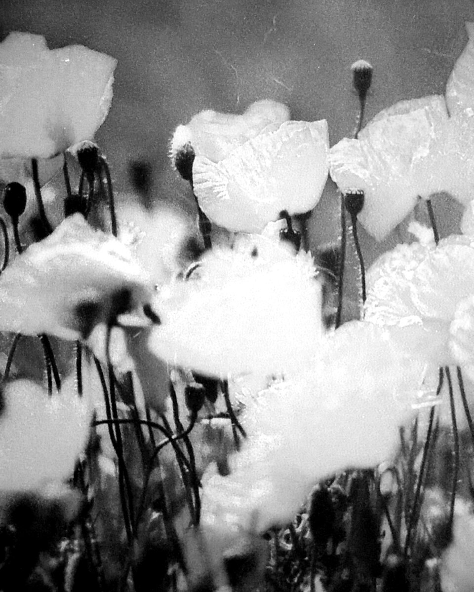 Норд Ост, первые часы после освобождения. | Психология для счастливой ...