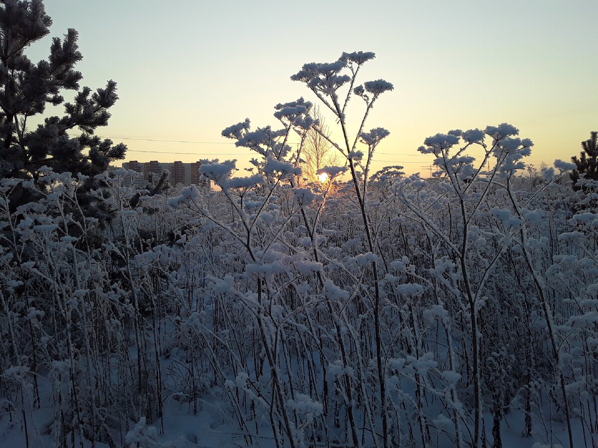 Фото из личного архива.