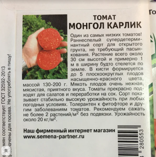 Томат Монгол  карлик, характеристики. Фото автора.