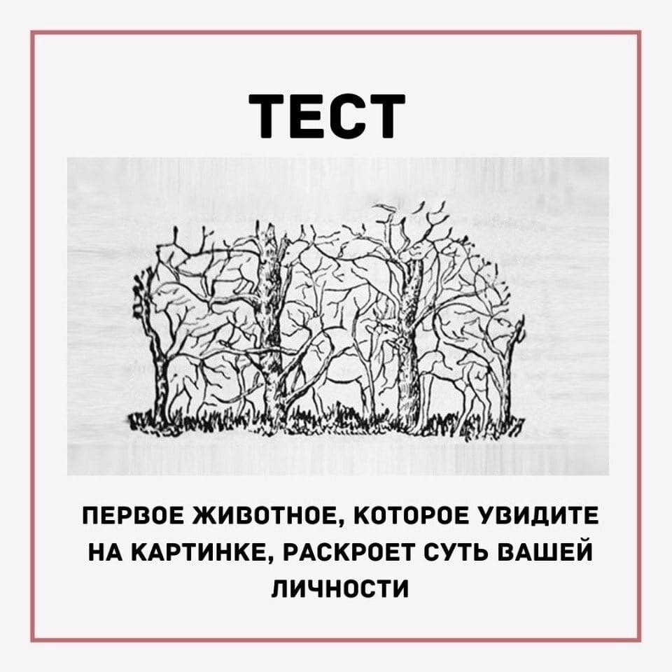 Какое животное увидели первым на картинке тест с ответами