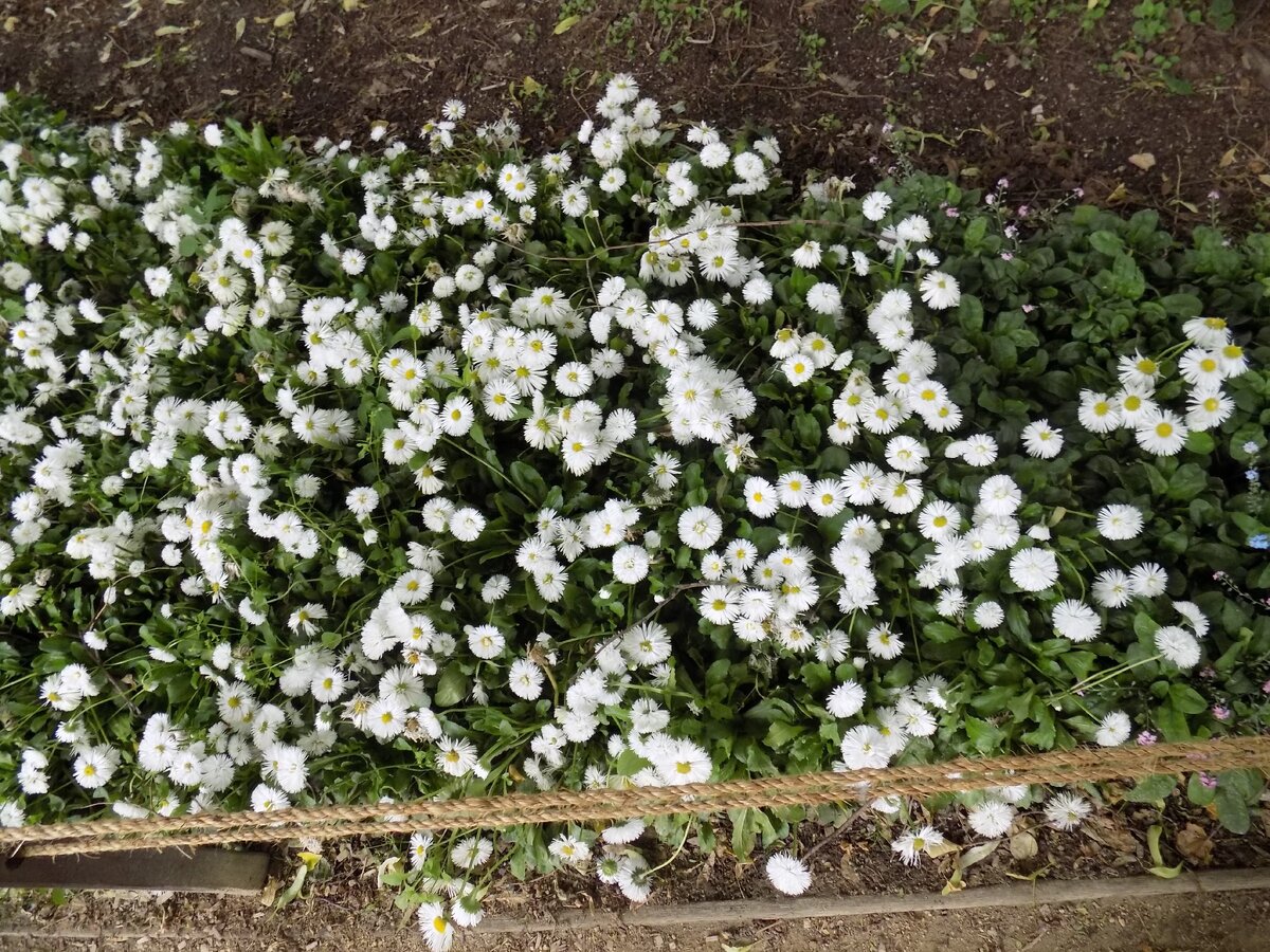 Вы только посмотрите какая красота! (фото автора)