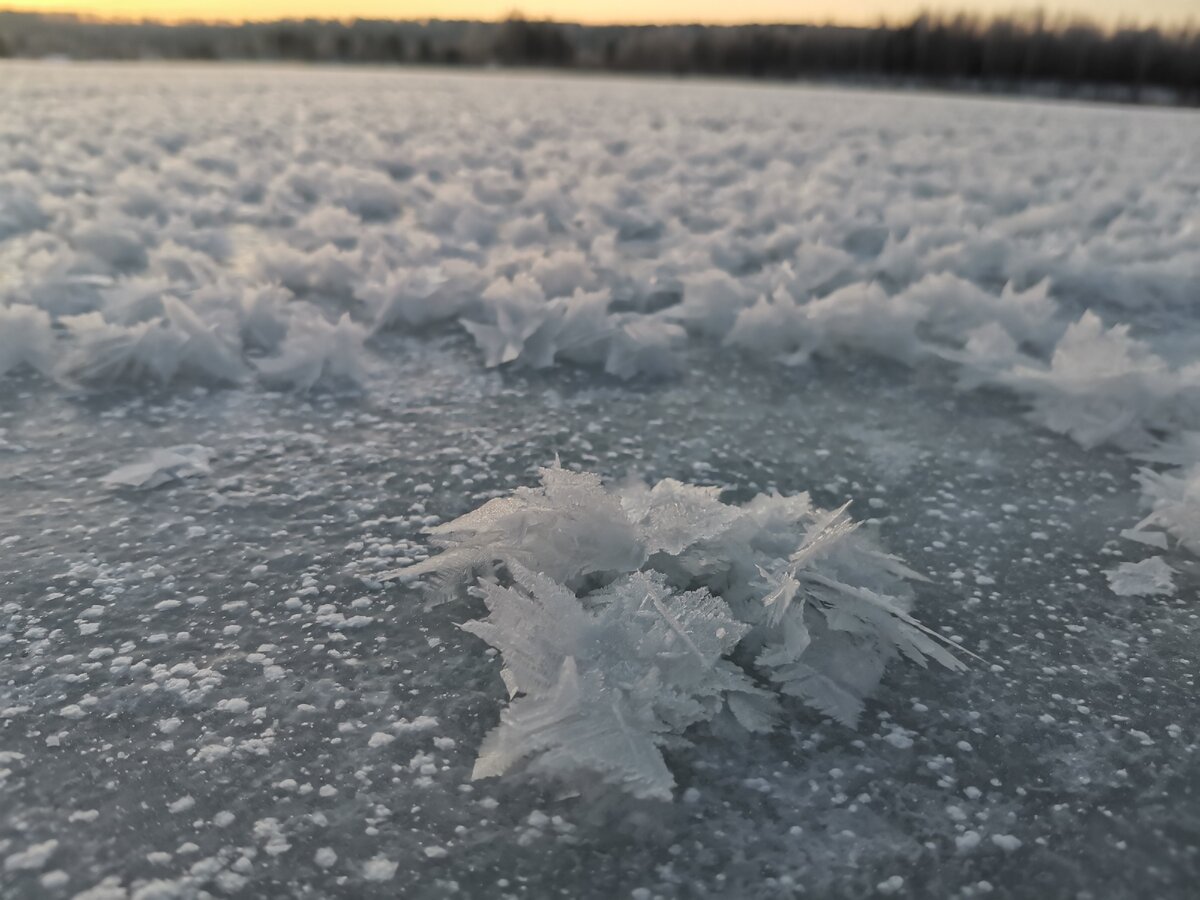 Изморозь. Ледяная изморось. Изморось фото.