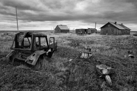 Фото из Яндекс Картинок