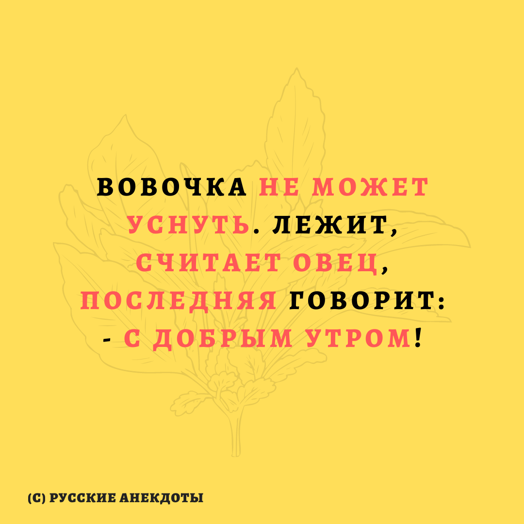 Раз овечка, два овечка...