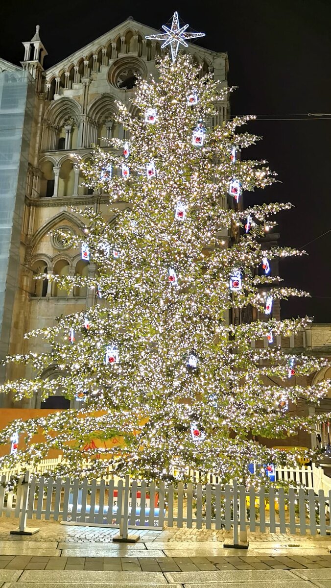 Главная рождественская елка провинции Феррара