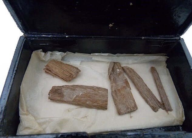 Фото: University of Aberdeen