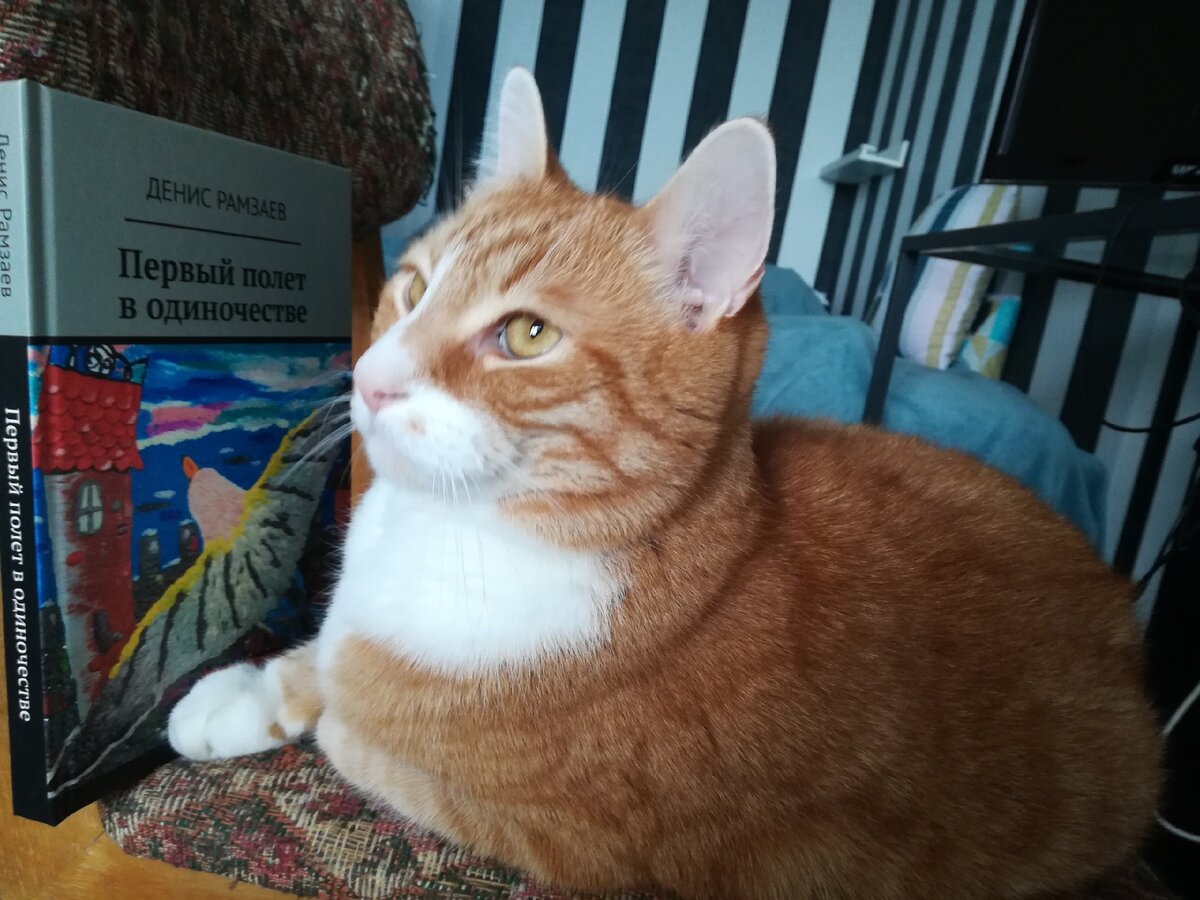 Эта книга вне рейтинга, она просто лучшая!)