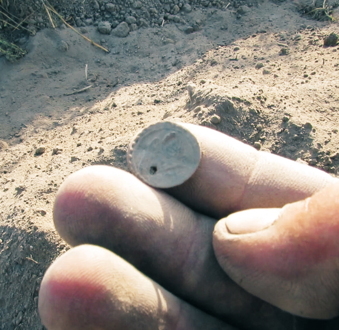 Только что из земли.