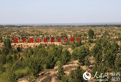 Источник http://russian.people.com.cn/n3/2020/0812/c31521-9720854.html