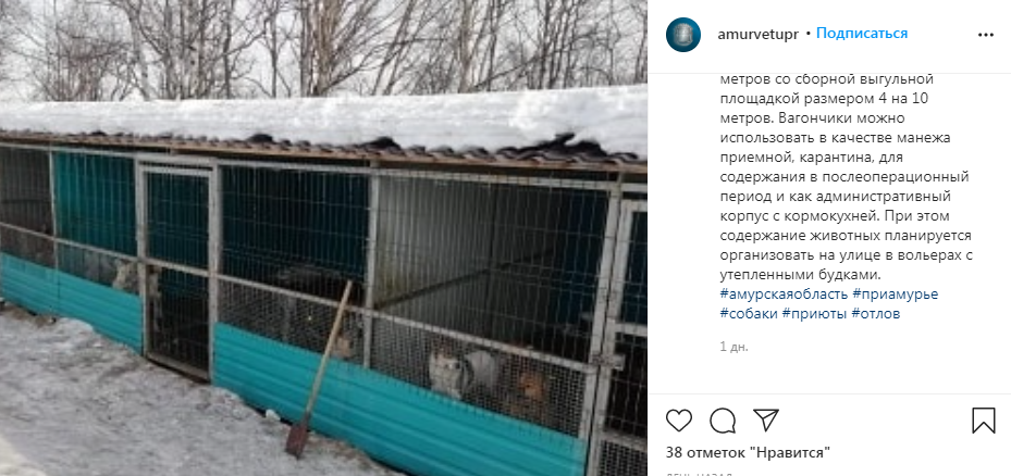 Жить в нем будут помещенные на карантин собаки или те, которым требуется восстановительный постоперационный период
