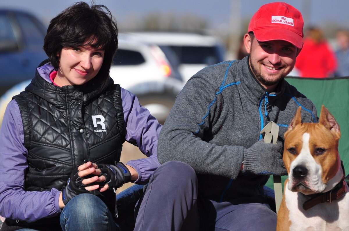 Соревнования по нормативу "Управляемая городская собака"