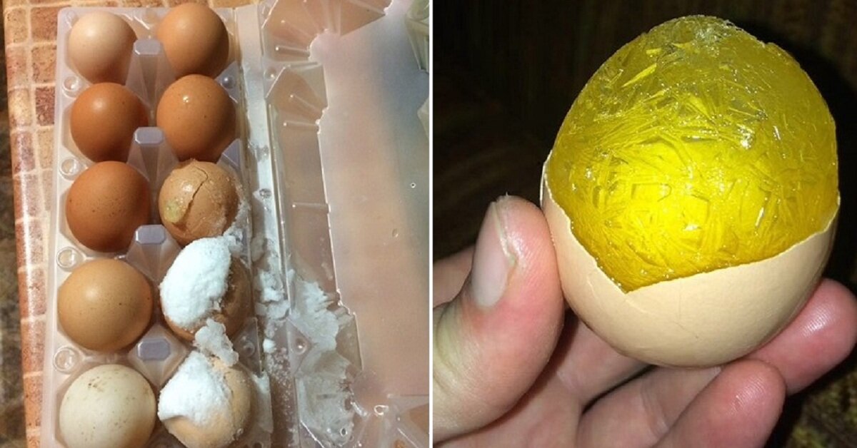 Что будет если съесть сырое яйцо. Замороженное куриное яйцо. Замороженные яйца. Яйцо в морозилке. Заморозка яиц в морозилке.