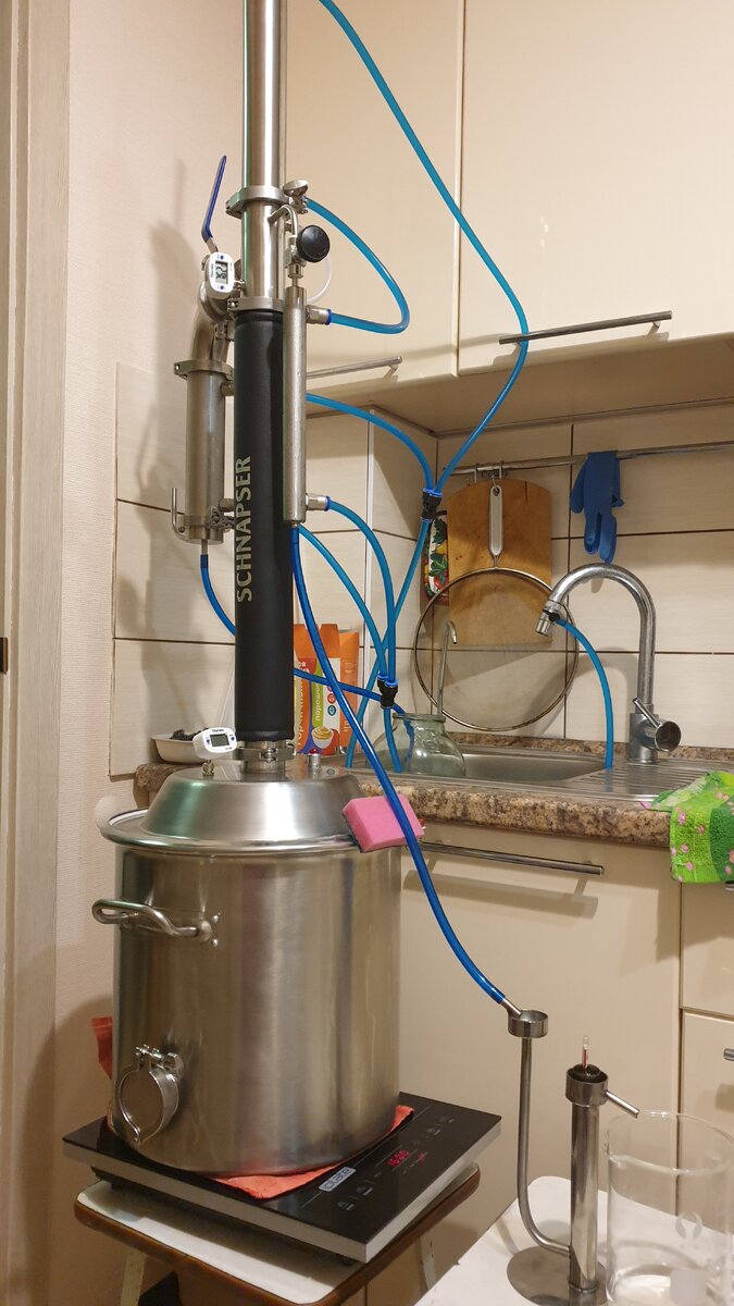 Фото автора.