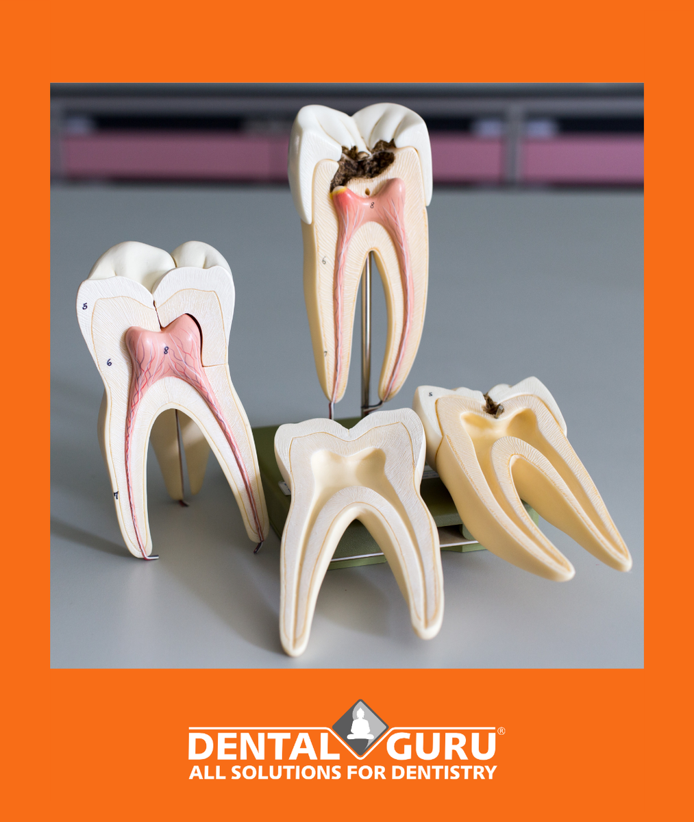 фото взято в Яндекс Картинки