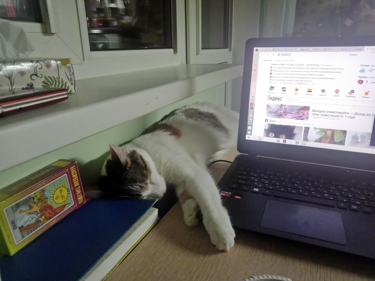 Фото автора.