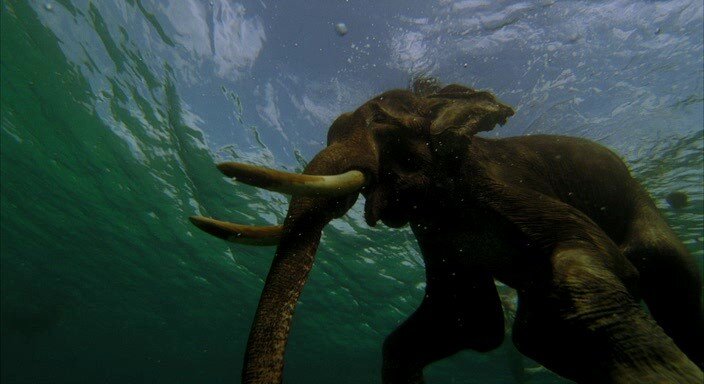 «Запределье». За картинки всегда спасибо «КиноПоиску»