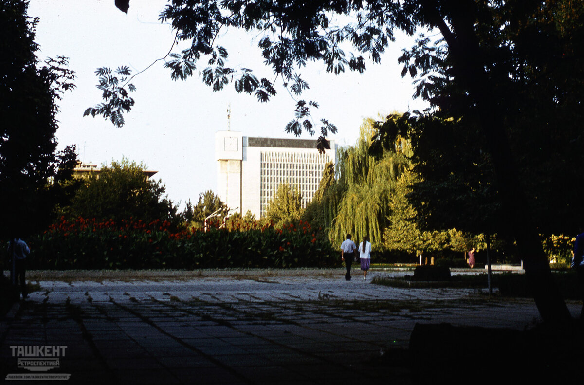 Ташкент бульвар им Ленина. Ташкентский бульвар. Бульвар Ташкент фото