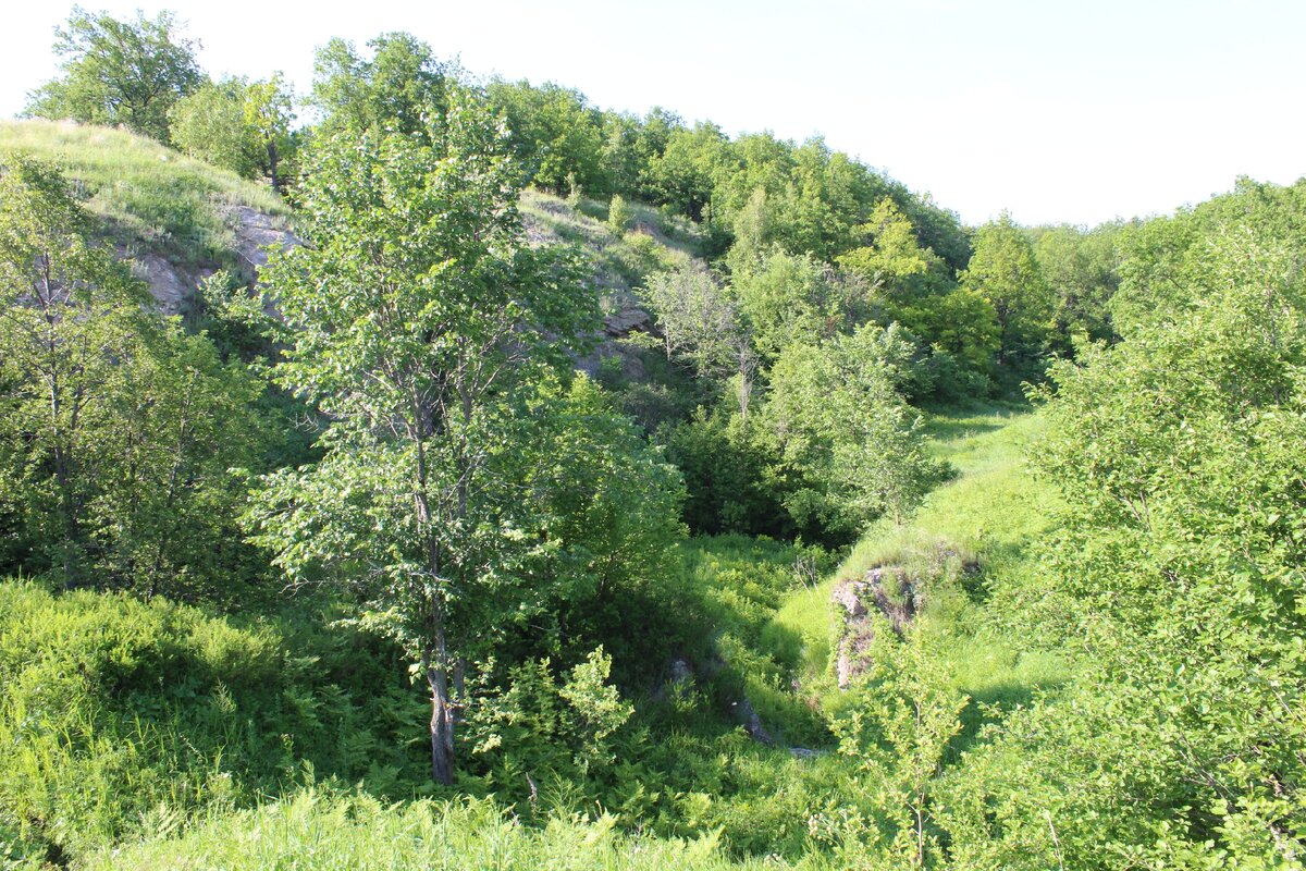 природа села Ишеево