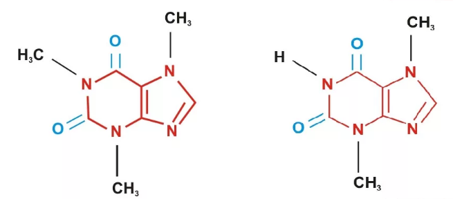 Кофеин - слева. Теобромин - справа. 