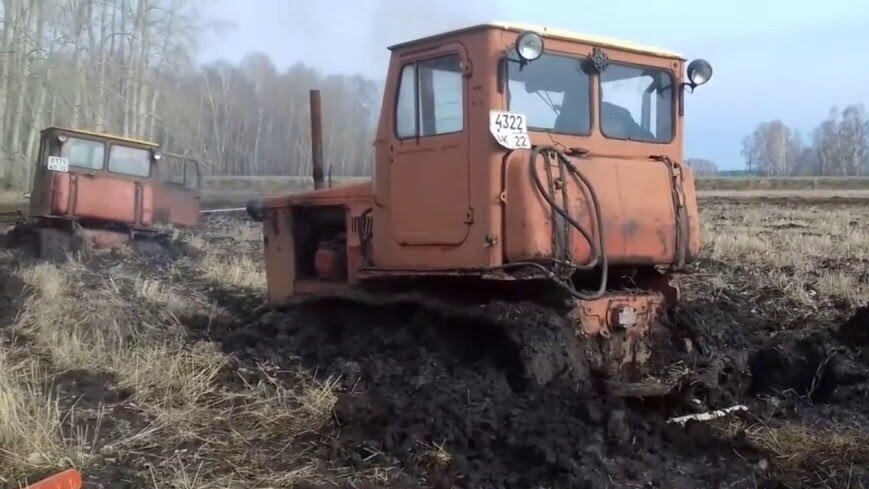 Фото из Яндекс Картинок