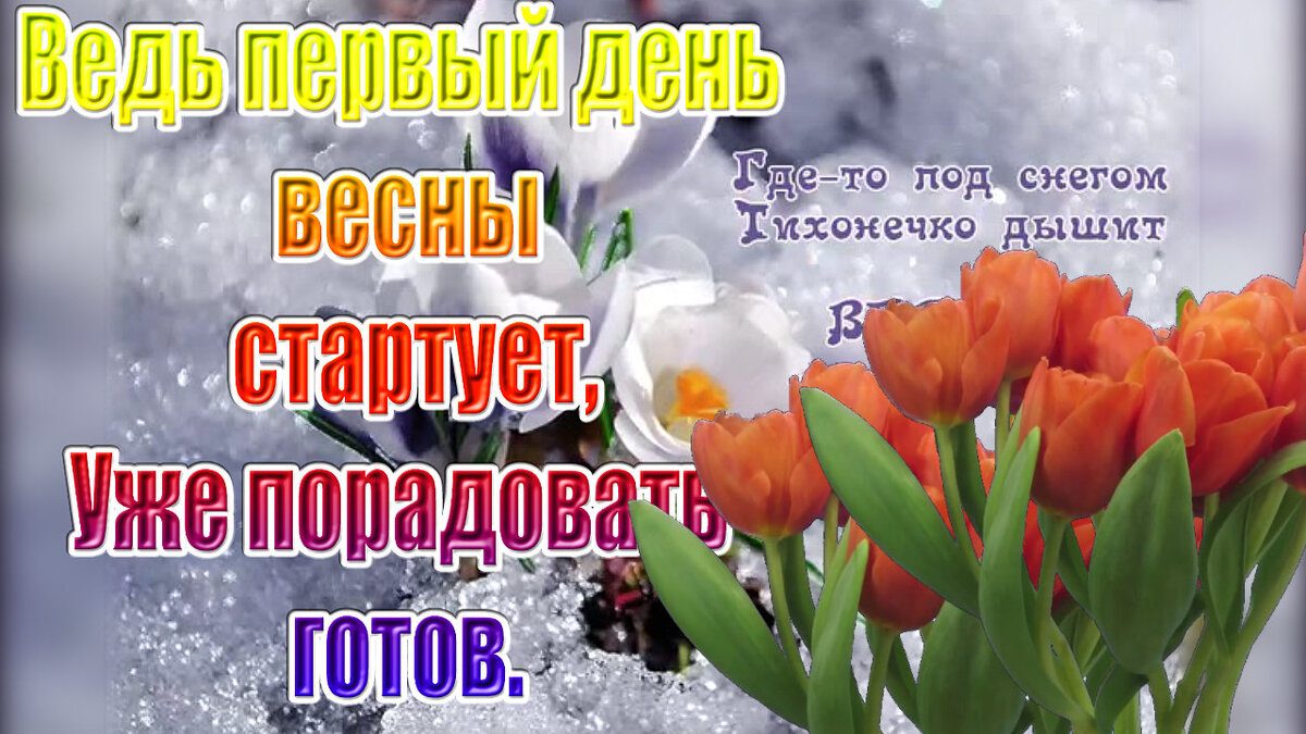 ВЕСНА идет 🌸 Международный праздник прихода весны 🌸 С первым днем весны Поздравляю 
