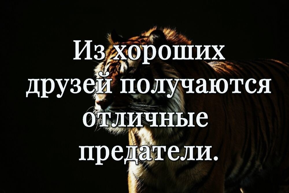 Доверять не получится. Предательство друга. Друзья предатели. Цитаты про друзей предателей. Предал друг цитаты.