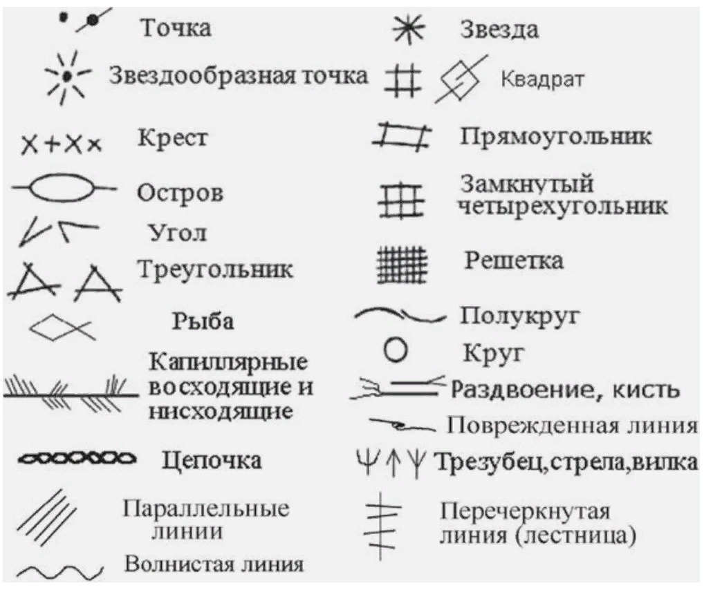 Особые знаки на ладонях. А какие есть у вас? Давайте проверим | Лисичка |  Дзен