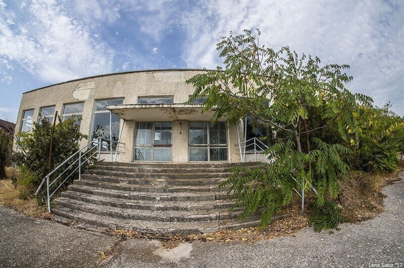  Растительность бурная, как повсюду на юге.