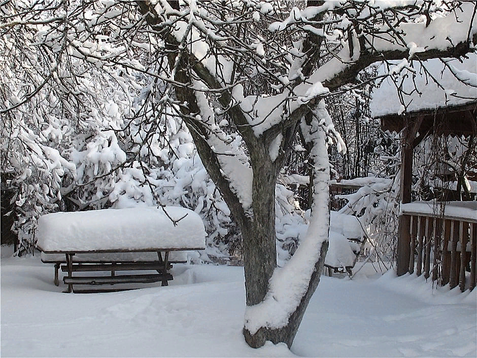  Взято из Яндекс. Картинки