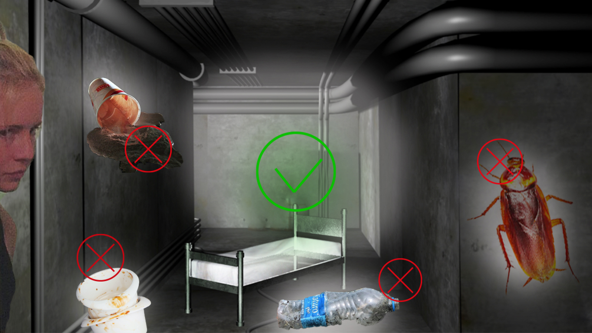 Текст написала автор Т—Ж Милана Гуськова