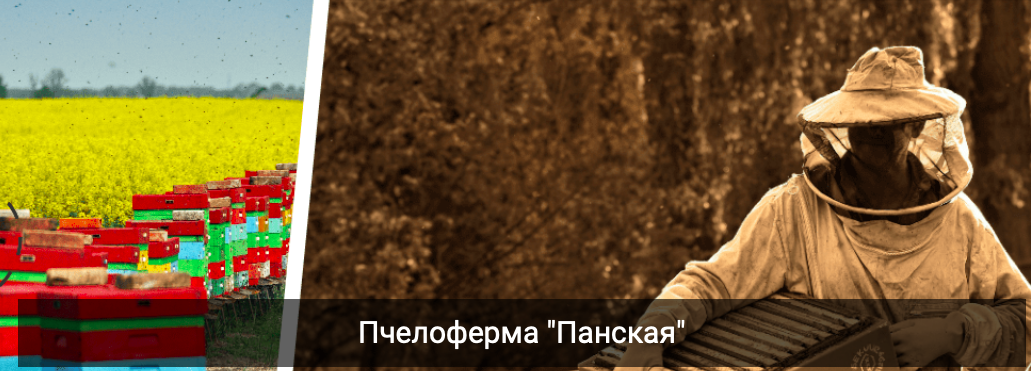 пчелоферма панская