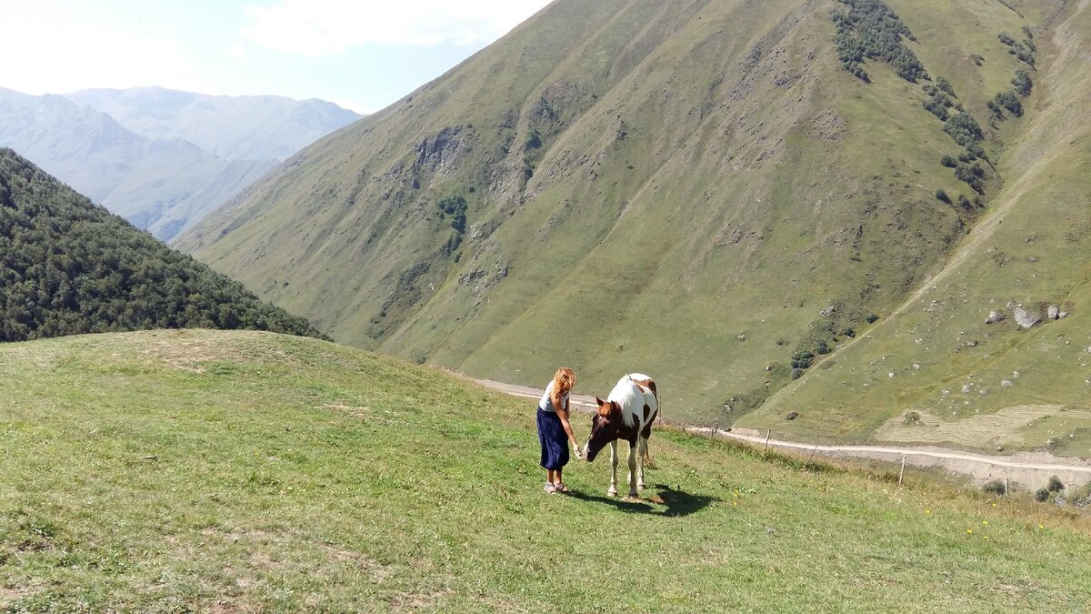 горы Грузии - видимо, не в этом году