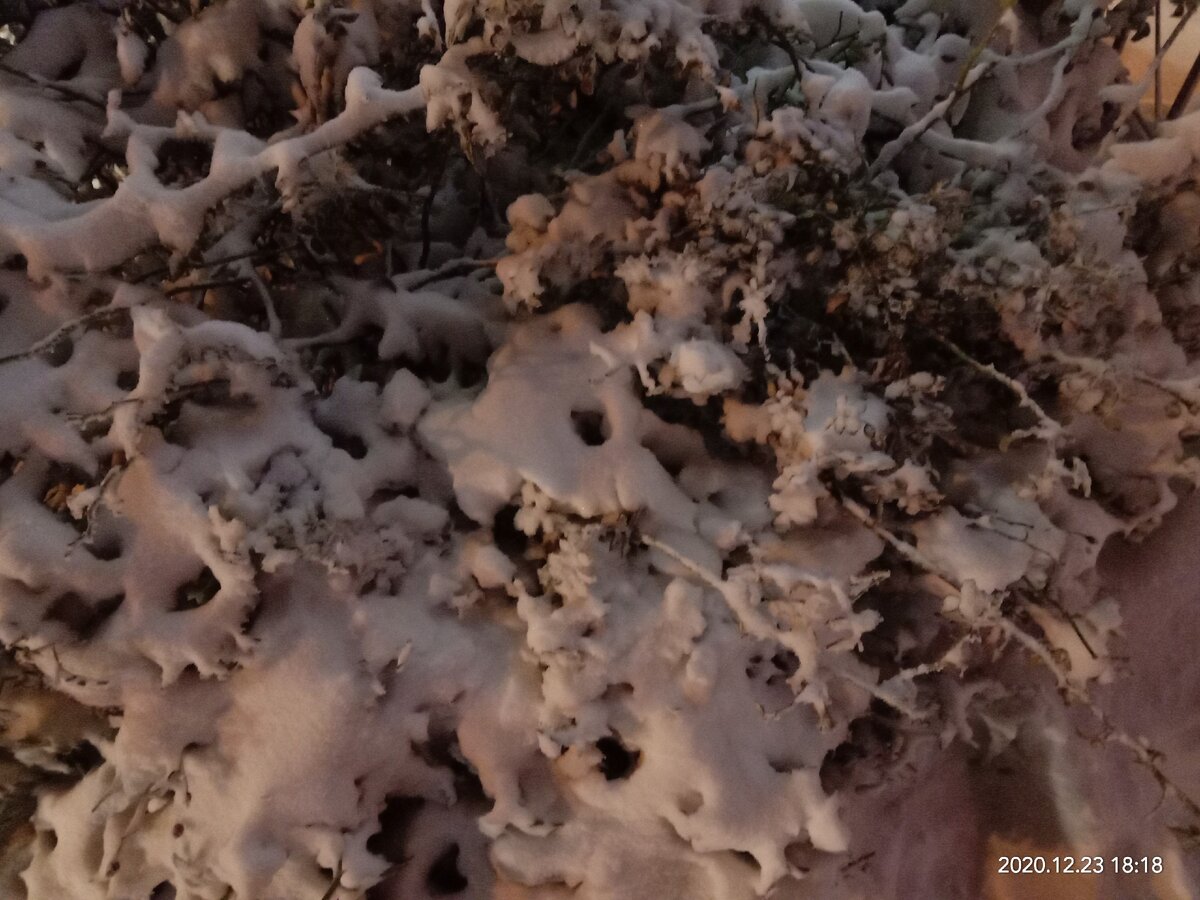 Что там, за этим буреломом? Фото автора