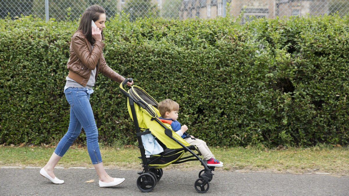 Фото из Яндекс. Картинок