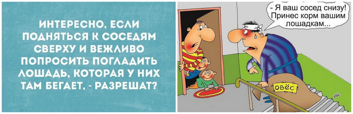 Что делают соседи сверху. Карикатуры на шумных соседей сверху. Соседи сверху лошадь. Соседи сверху и снизу карикатура. Анекдот про соседей и слышимость.