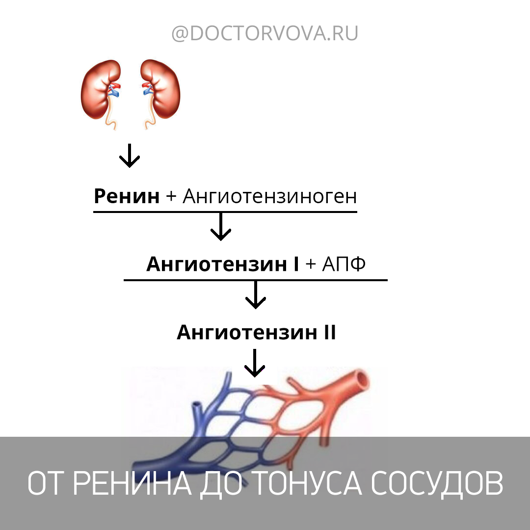 НеБОЛЬШОЙ СМАД следит за тобой | Статьи клиники Медсервис