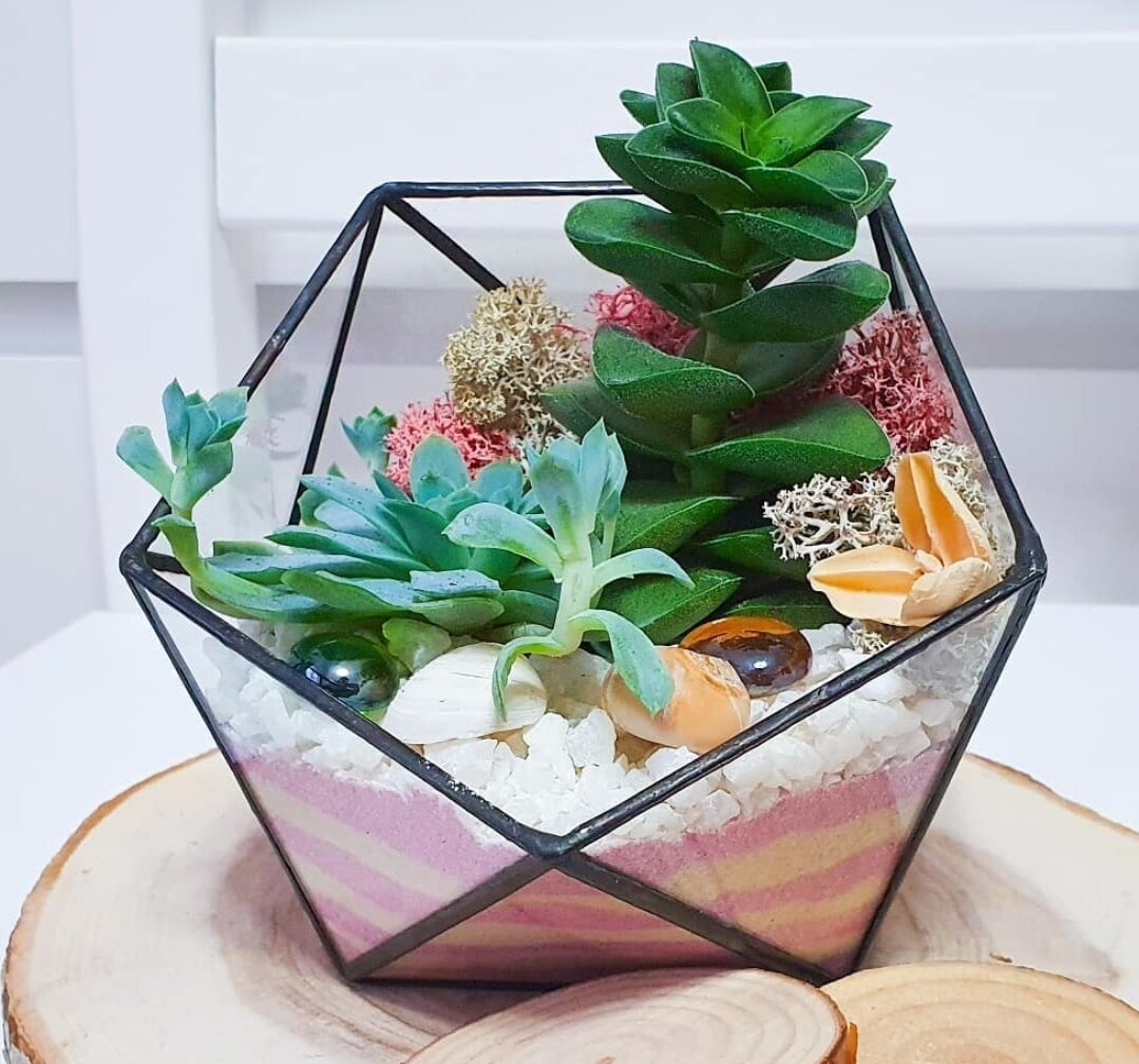 Мини-флорариум Икосаэдр (15см)