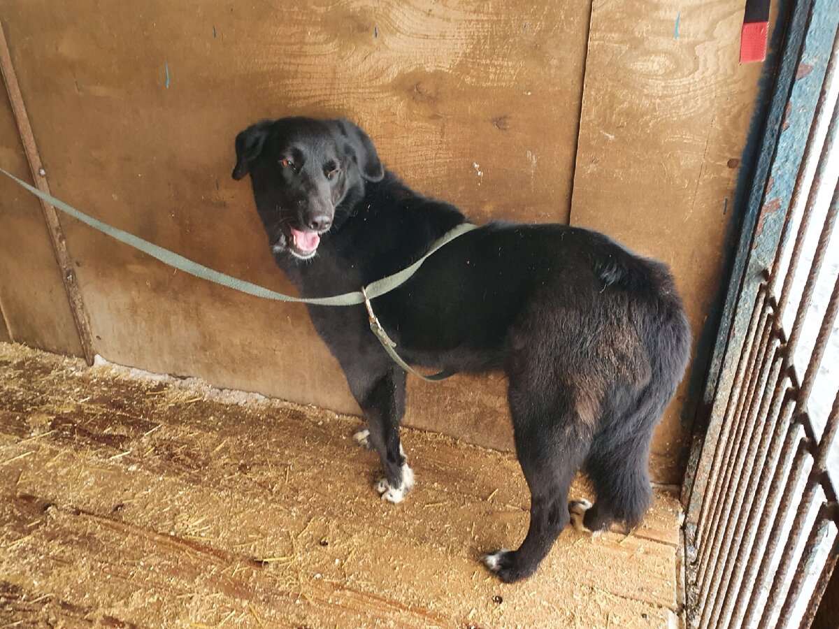 Гея в замешательстве