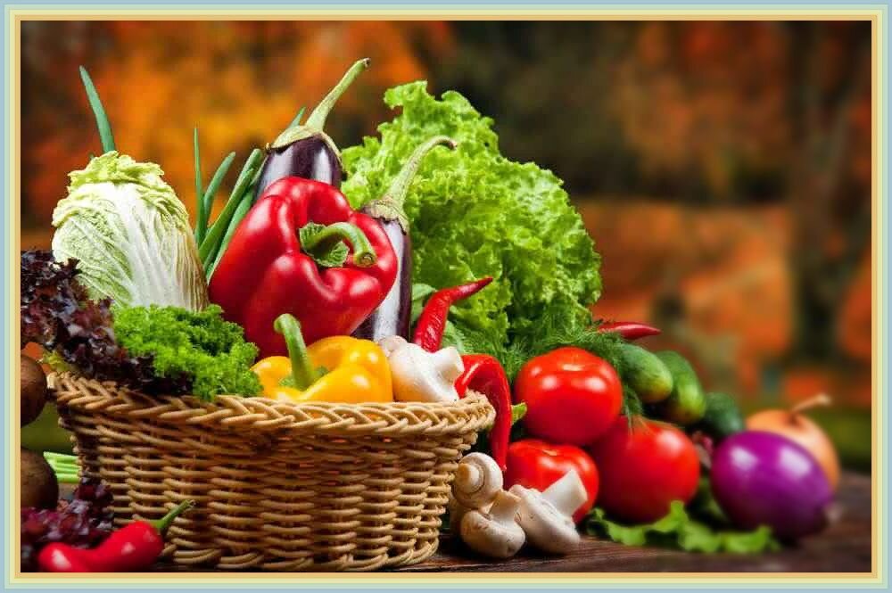 Основной рацион на каждый день - вкусная и здоровая пища