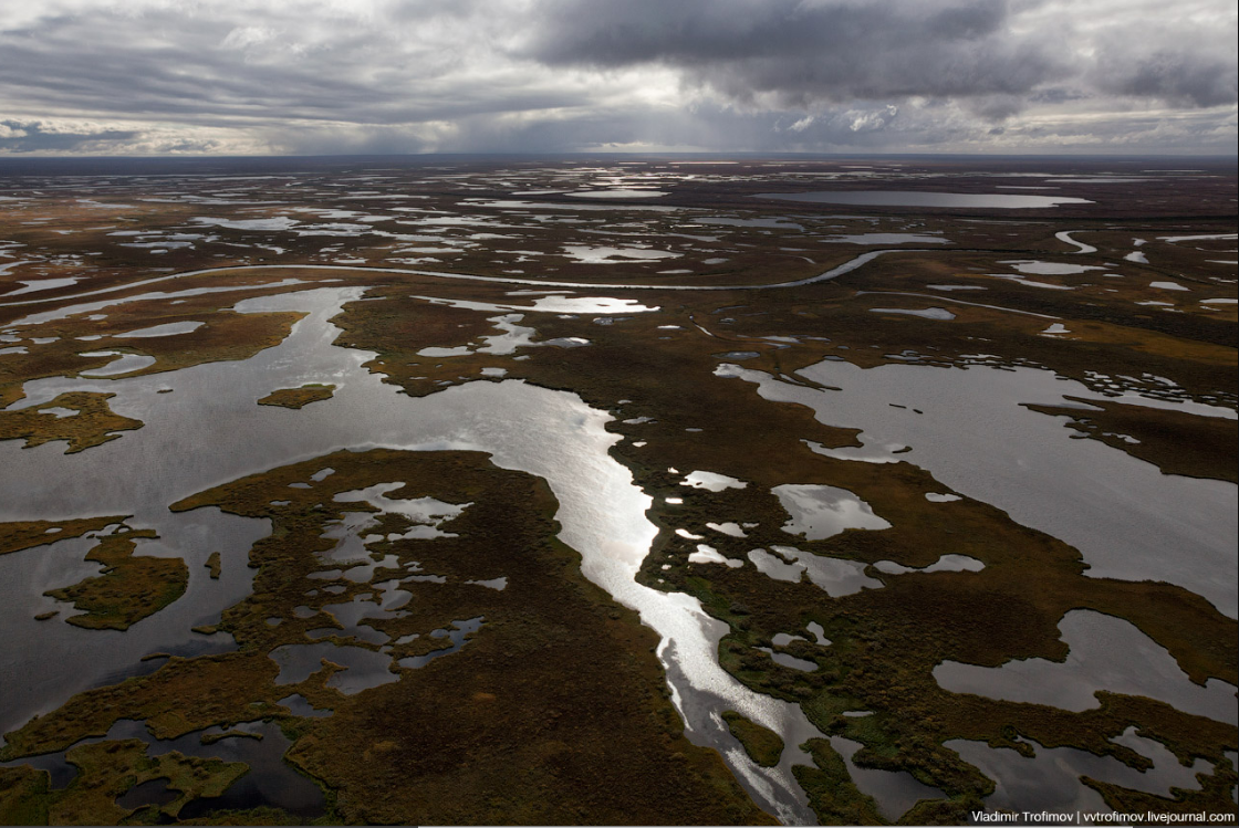 Болото в тундре. По этическим соображениям фотографий самого копальхена не будет