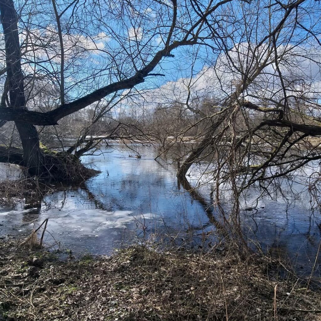 Рыбалка весной на реке. Весеннее половодье. Рыбалка ранней весной. Рыбы ранней весной. Ветки с разлива на реке весной