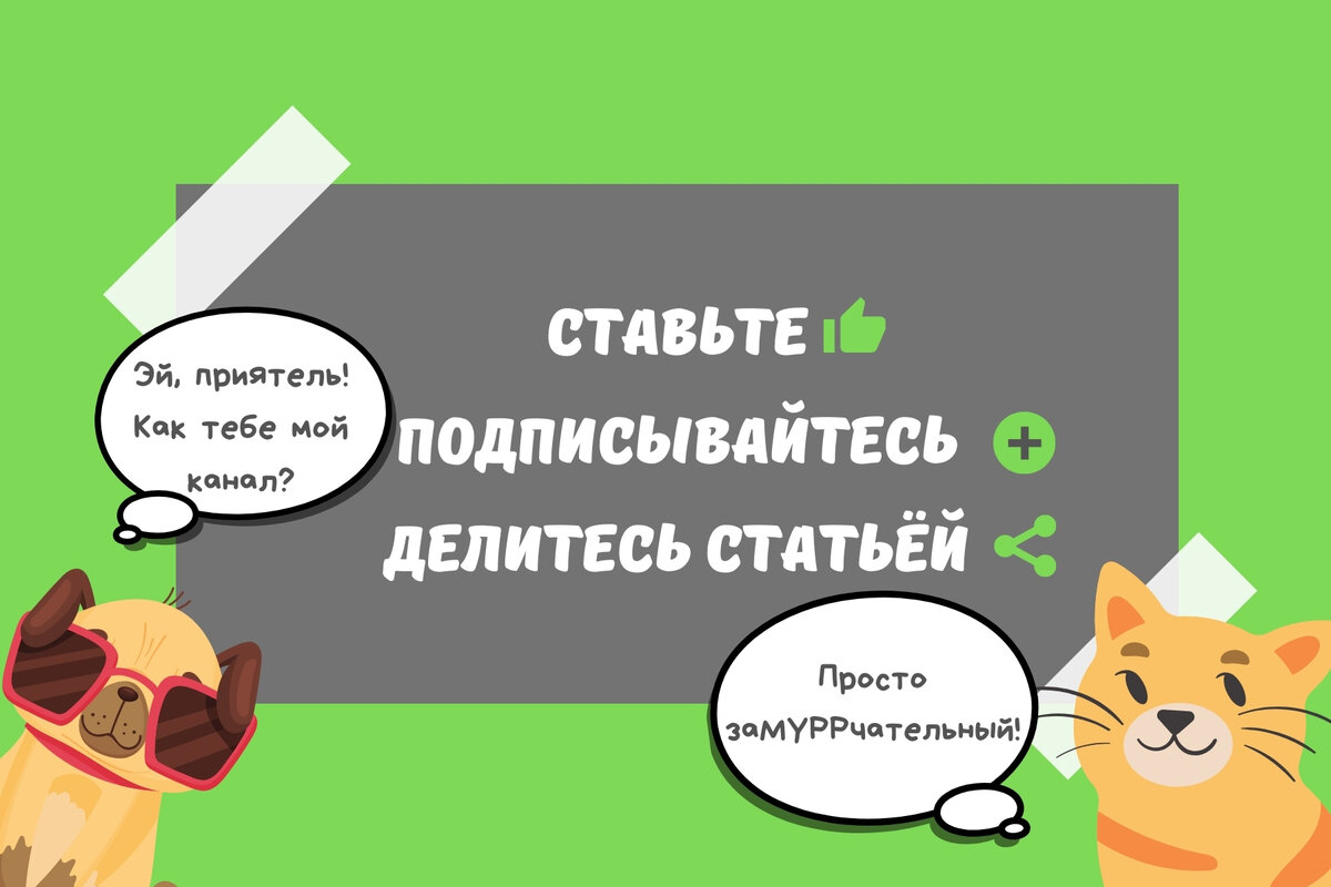 15 необычных способов применения картофельного крахмала, которые облегчат  вашу жизнь | По чуть-чуть о разном | Дзен