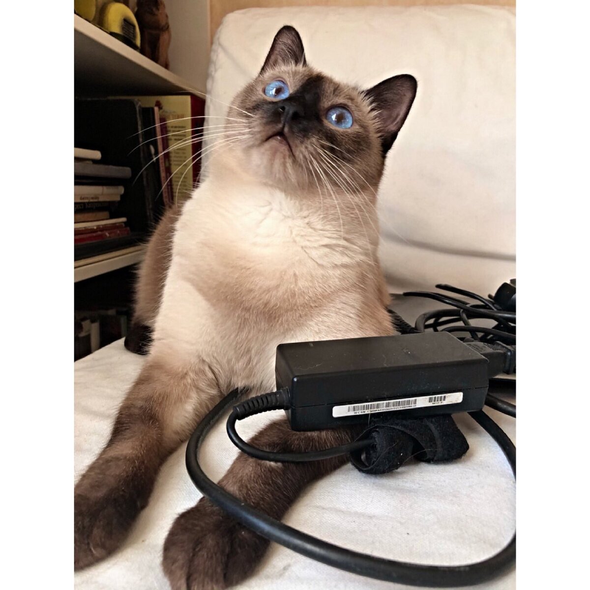 Сам повесил - сам любуюсь