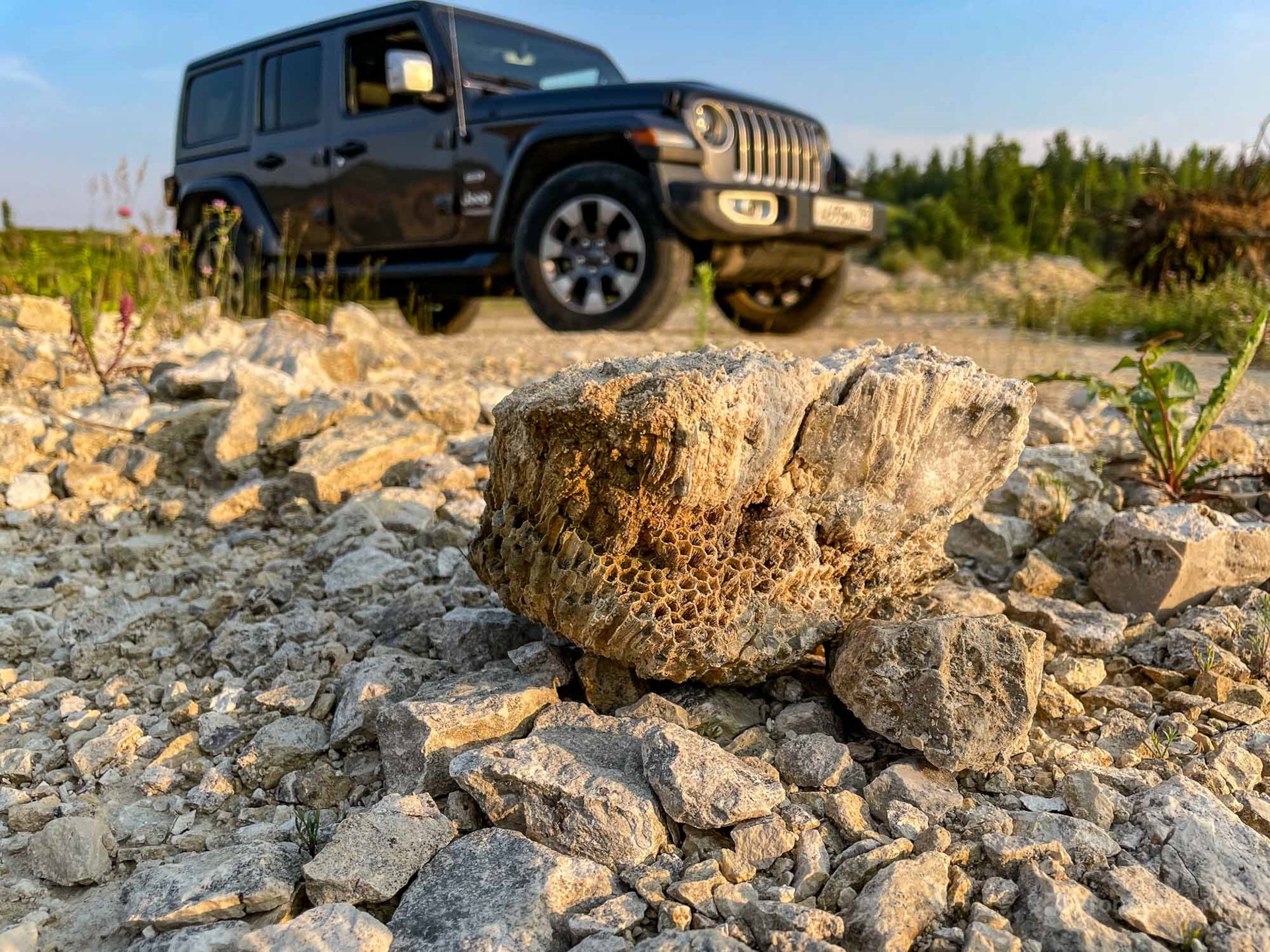 Поездил и понял, чем «короткий» Jeep Wrangler отличается от «длинного». Но, какой выбрать? ??‍♂️?1