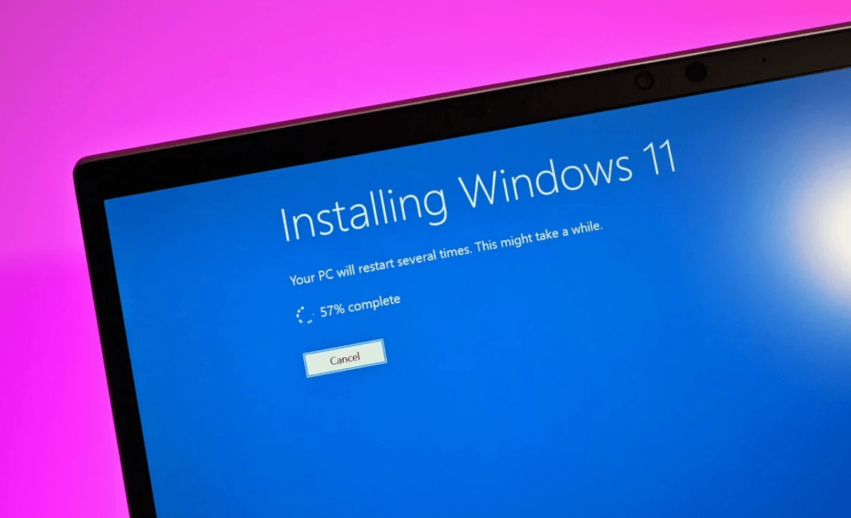 Windows 11