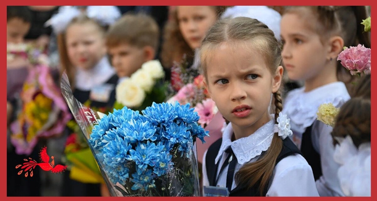 Яндекс картинки