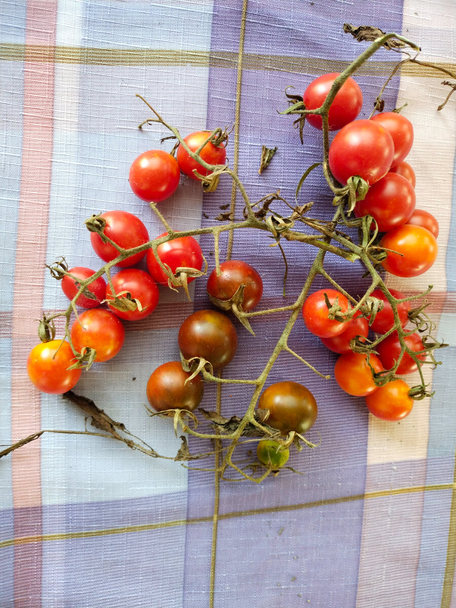 Фото автора канала 