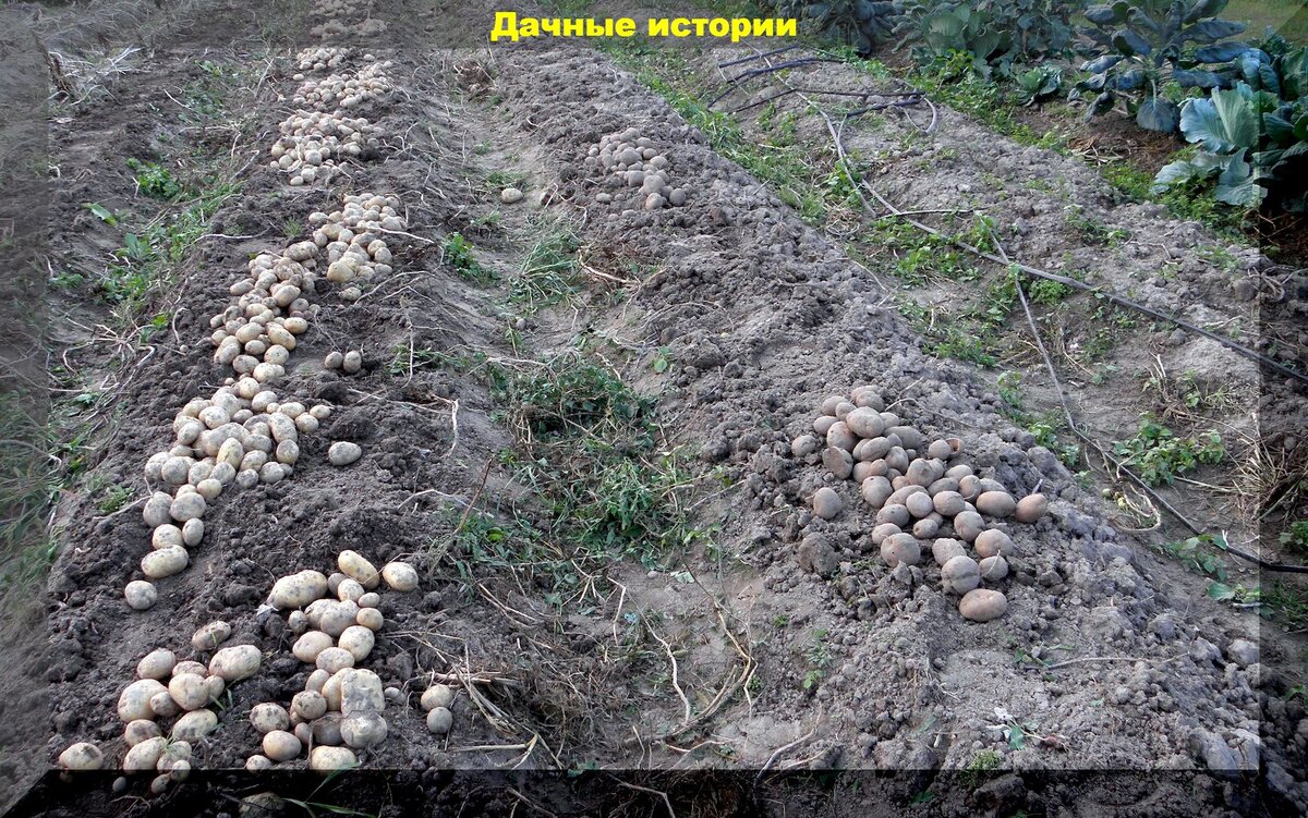 https://vk.com/photo-159774511_457249055