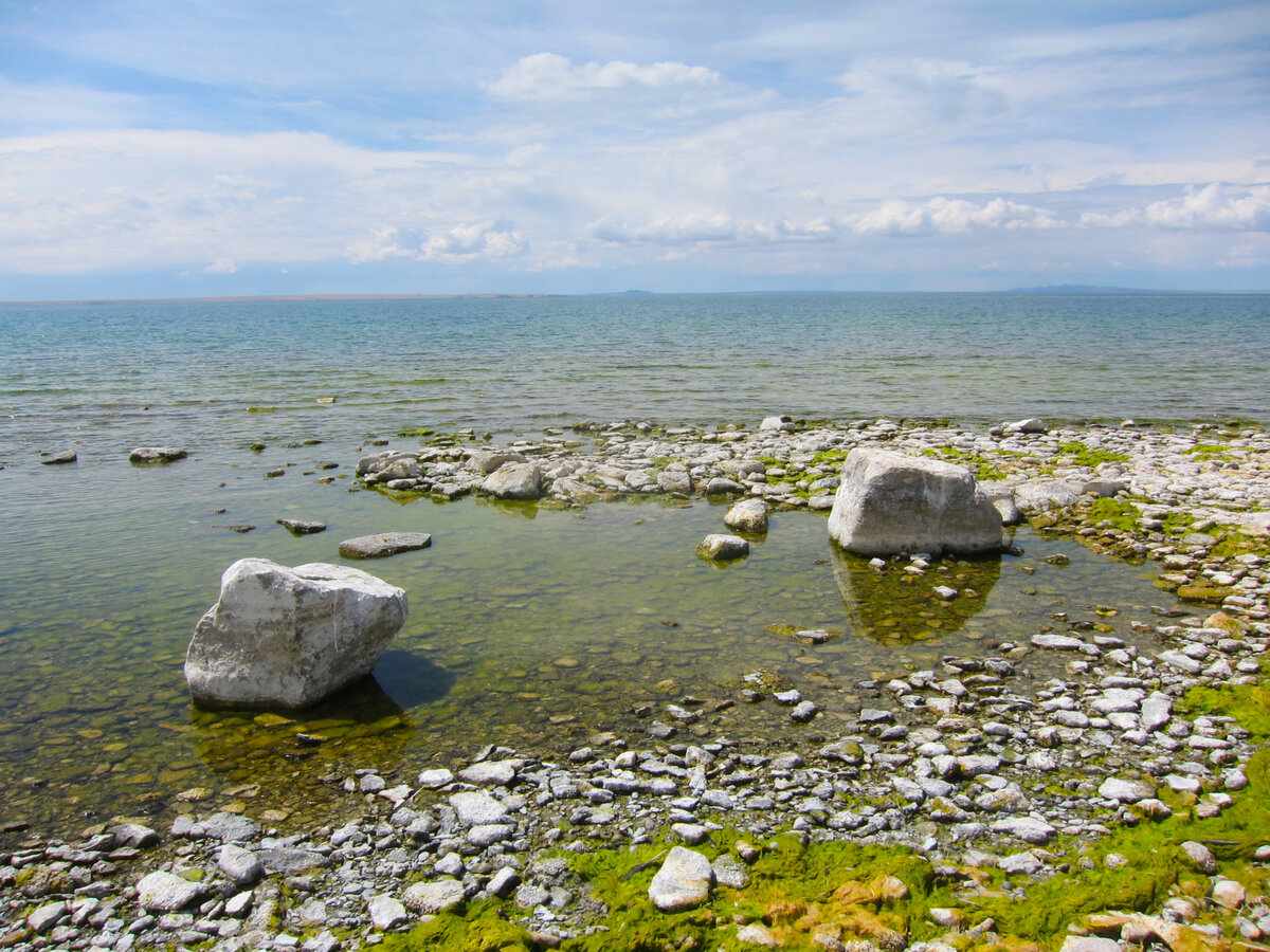 Каменные острова читать