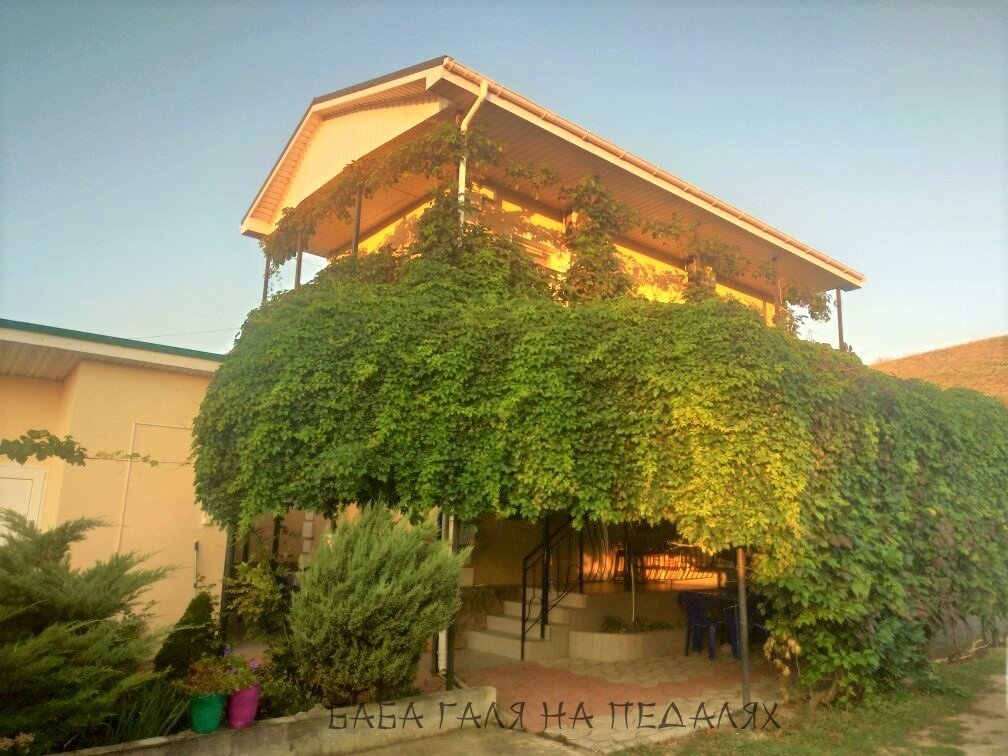 фото автора